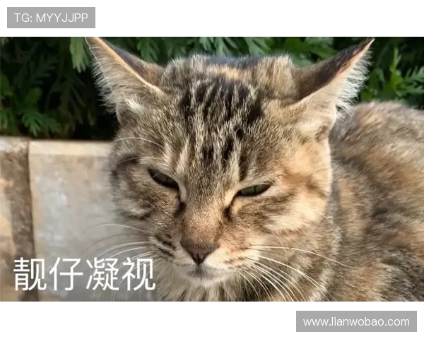 浣╂潨鎷夛細娌欎箤绾宠浆浼氫粛瀛樺彉鏁帮紝鎷夐綈濂ュ皢閫氳繃澶忚璇勪及娉曞浗鍓嶉攱 浣╂潨鎷夛細娌欎箤绾宠浆浼氫粛瀛樺彉鏁帮紝鎷夐綈濂ュ皢閫氳繃澶忚璇勪及娉曞浗鍓嶉攱